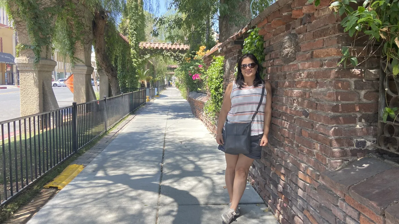 A traveler walking along a tree-lined street